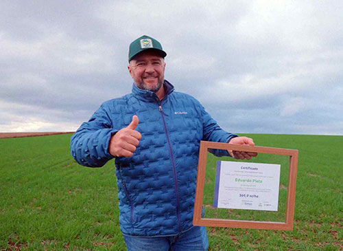 Milho brasileiro atinge novo patamar de produtividade e supera 369 sacas por hectare