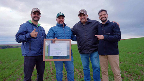Milho brasileiro atinge novo patamar de produtividade e supera 369 sacas por hectare