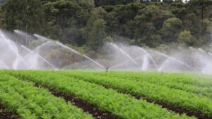 No maior evento de horticultura da América Latina, Viqua Irriga monta um rancho