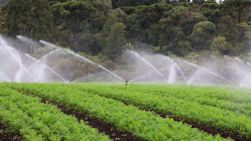 No maior evento de horticultura da América Latina, Viqua Irriga monta um rancho