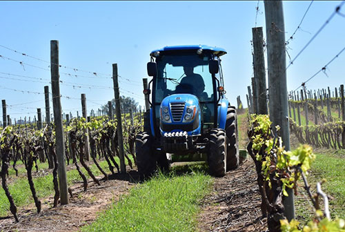 Tecnologia em tratores para impulsionar a fruticultura do Nordeste
