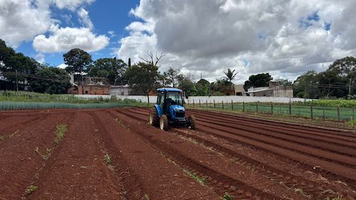 Tratores vocacionados impulsionam mecanização e rentabilidade na horticultura brasileira