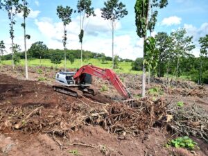Link-Belt amplia vendas na América Latina em cenário de retomada do mercado de máquinas pesadas