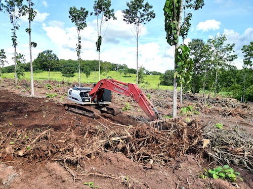 Link-Belt amplia vendas na América Latina em cenário de retomada do mercado de máquinas pesadas