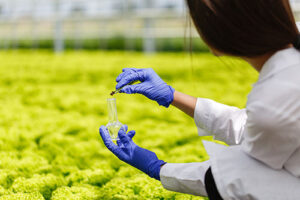 Edição gênica no agro avança e reforça demanda por precisão molecular