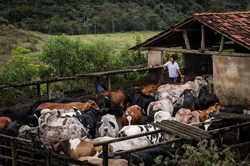 Governo do Brasil anuncia R$ 1,3 bi para retomada econômica rural da Bacia do Rio Doce
