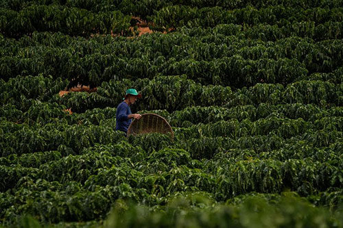  Governo do Brasil anuncia R$ 1,3 bi para retomada econômica rural da Bacia do Rio Doce