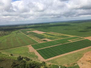 SEEDCORP|HO atualiza portfólio e investe mais em pesquisa para dobrar faturamento em cinco anos