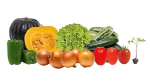Genética ganha protagonismo na busca por horticultura mais produtiva, segura e sustentável