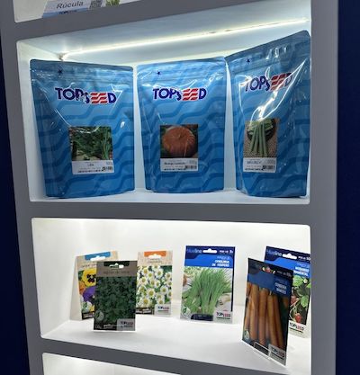 Topseed lança variedade de rúcula na 31ª edição da Hortitec
