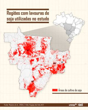 Modelo computacional permite antecipar produtividade das lavouras de soja com acurácia de 72%
