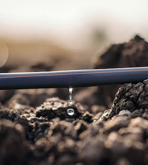 Netafim e Yara unem forças para acelerar a fertirrigação e impulsionar uma nova era de eficiência no agro brasileiro
