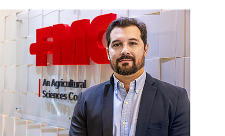 Doenças foliares seguem como um dos principais limitantes da produtividade da soja, com perdas de até 40%