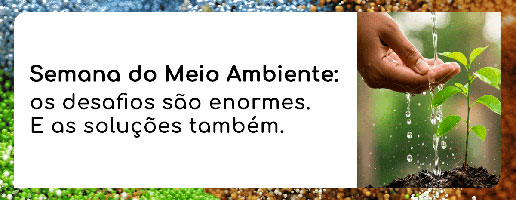 Os desafios ambientais são reais, as soluções também