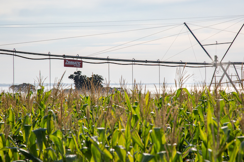 Lindsay apresentará novo sistema de monitoramento e alarme para a irrigação durante a Bahia Farm Show 2026