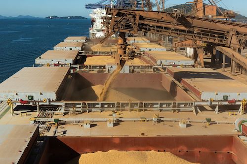 Controles fitossanitários reduzem notificações e fortalecem exportações brasileiras de grãos
