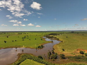 Parceria entre AGCO Agriculture Foundation e The Nature Conservancy impulsiona agricultura regenerativa no Cerrado