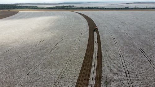Tecnologia que combina nutrientes e biofertilizante potencializa o enchimento de grãos e a produtividade