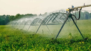 Com data lançada, II Fórum de Irrigação da Bahia reforça papel da gestão hídrica para o futuro do agro brasileiro
