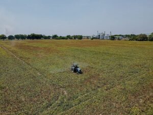 Brasil é o mercado mais atrativo de pesticidas do mundo