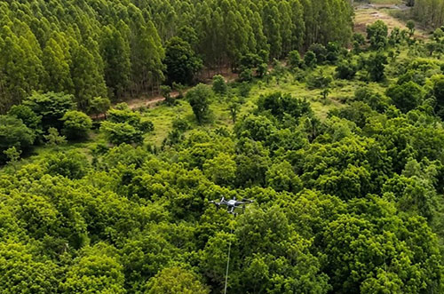 Arauco utiliza drones para instalar cabos de alta tensão e reduzir impactos ambientais em Mato Grosso do Sul