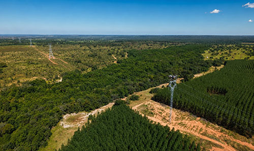 Arauco usa drones para instalar cabos de alta tensão e reduzir impacto ambiental em MS
