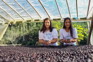 Dia da Agricultura Familiar: Binatural planta mais de 600 árvores e fomenta empreendedorismo feminino entre produtoras rurais na Mata Atlântica