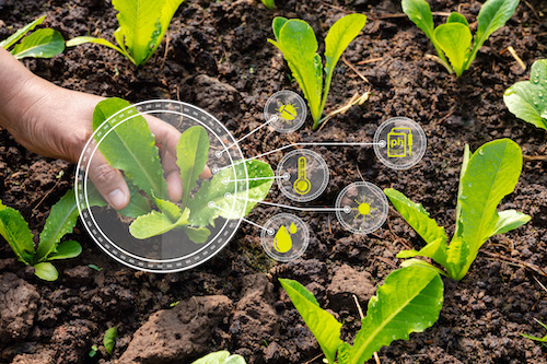 Indústria de bioinsumos busca escalabilidade e segurança jurídica para sustentar crescimento no campo