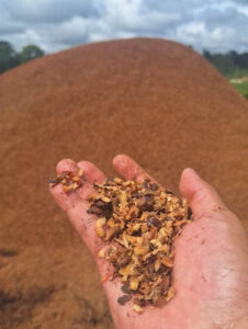 Resíduos agrícolas podem se transformar em biochar e baixar custo das lavouras