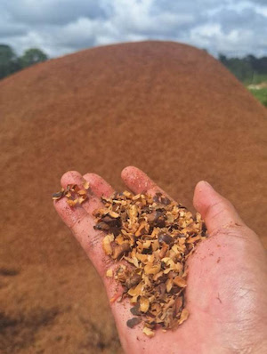 Resíduos agrícolas viram biochar e ajudam a reduzir os custos das lavouras