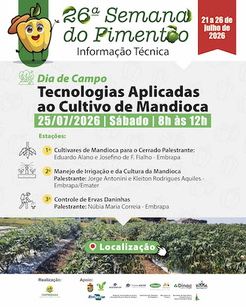 Tecnologias para mandioca serão apresentadas em Dia de Campo no DF