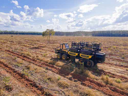 Grupo Timber amplia portfólio e fortalece soluções para todo o ciclo da operação florestal