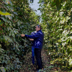ICL reforça estratégia de proximidade com o produtor e mantém plano de investimentos no Brasil