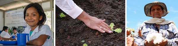 Governo brasileiro participa da 30ª Sessão do Comitê de Agricultura da Organização das Nações Unidas para a Alimentação e a Agricultura