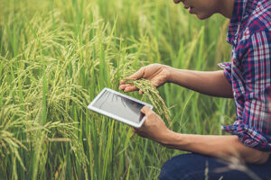 Digitalização transforma a gestão das fazendas e amplia a rentabilidade do agronegócio brasileiro