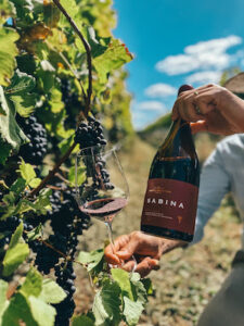 Referência em vinhos de inverno, Sacramentos Vinifer leva seus rótulos a festival que celebra produção em MG e SP