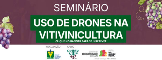 Seminário online gratuito do Sindag debate aplicação de drones na vitivinicultura nesta terça (7)