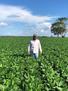 Biotecnologia surge como escudo para o agro brasileiro contra a dependência externa e o clima