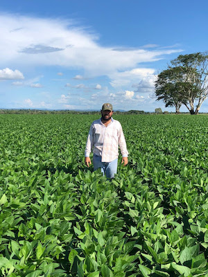 Biotecnologia surge como escudo para o agro brasileiro contra a dependência externa e o clima