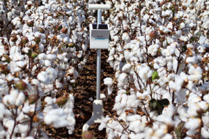 Stenon capta R$ 106 milhões em Série B para escalar o manejo de nitrogênio em tempo real no Brasil e no exterior