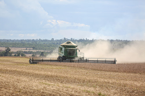 El Niño reforça necessidade de manejo estratégico e regionalizado para a safra 2026/2027