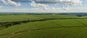 Tereos mapeia 162 mil hectares e estrutura novo modelo de manejo de solo para ampliar produtividade no campo