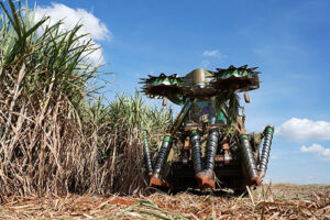 Tereos amplia frota de colhedoras de duas linhas e avança em eficiência energética no campo