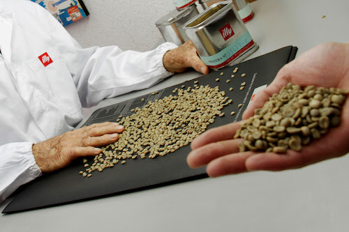 Prêmio Classificador do Ano amplia reconhecimento aos diferentes perfis de profissionais da cadeia do café