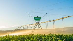 Bauer do Brasil e Irricontrol apostam em novas modalidades de financiamento para ampliar investimentos em irrigação na pecuária