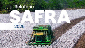 Abrapa destaca que Brasil encerra ano comercial com recorde histórico de 3,37 milhões de toneladas de algodão exportadas