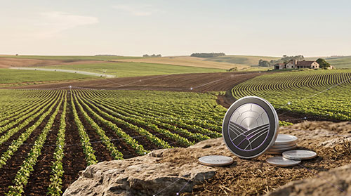Tokenização pode transformar ativos ambientais em novas fontes de valor para o agronegócio
