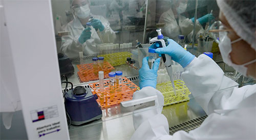 Biológicos são o presente e o futuro da agricultura