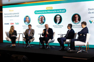 Mercadante destaca potencial dos minerais estratégicos para o desenvolvimento das cadeias industriais