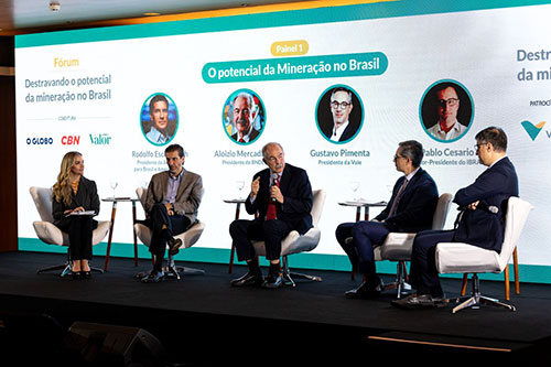 Mercadante destaca potencial dos minerais estratégicos para o desenvolvimento das cadeias industriais